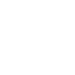 The Neverwoods Logo